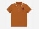 Men's Brown Polo Shirt with Embroidery Detailing
