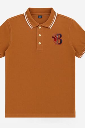 Men's Brown Polo Shirt with Embroidery Detailing